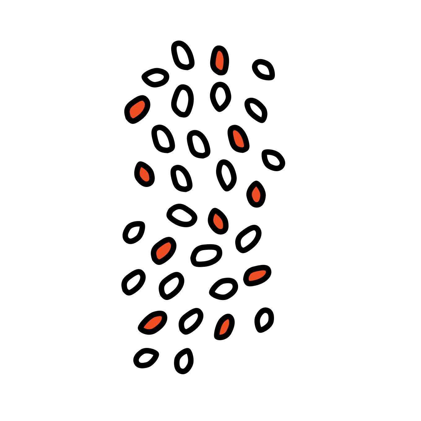 Step 2 - The clean plastic bottles are shredded into pellets.